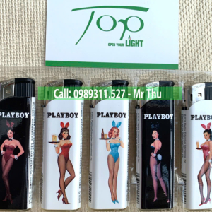 Hột Quẹt Gas In Hình 