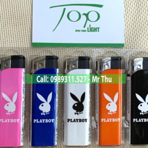 Hột Quẹt Gas In Hình 